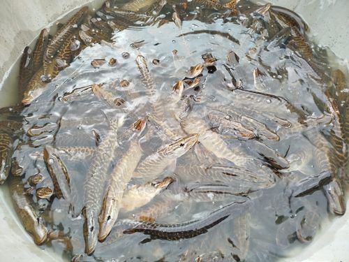 25dd189b-9a22-42cc-8f6d-f826ec5ee9c7 (1).jpg